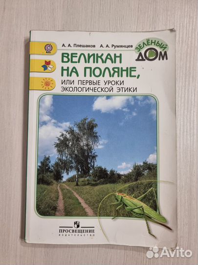 Великан на поляне книга