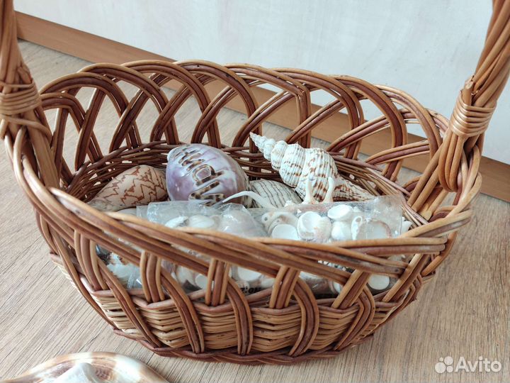 Морские ракушки раковины в корзине