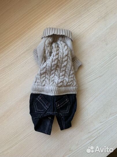 Одежда для собак мелких пород