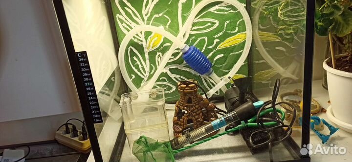 Аквариум на 60 литров