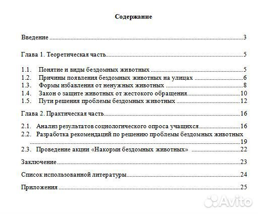 Индивидуальный проект 5-11 класс