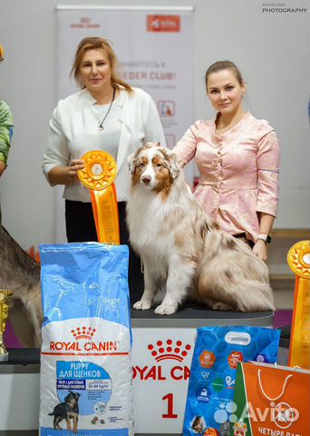 Услуги хендлера