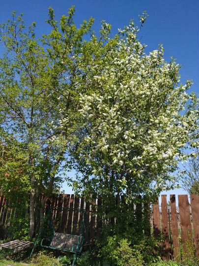 Коттедж 160 м² на участке 15 сот.