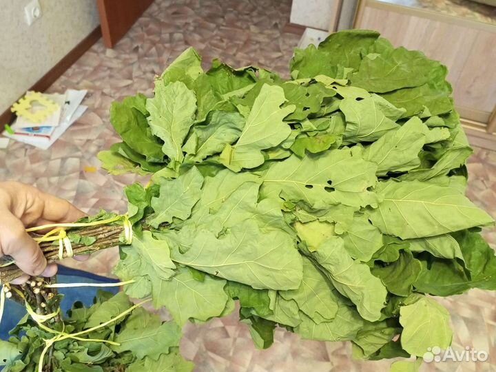 Дубовые и березовые веники для бани 2022 год