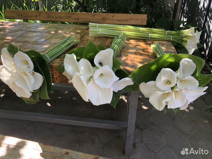 Белая калла