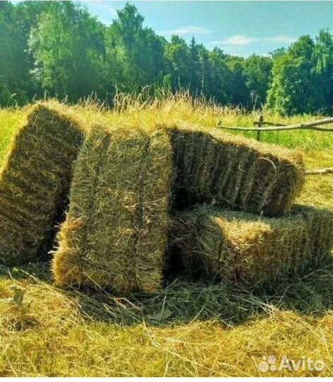 Сено в тюках