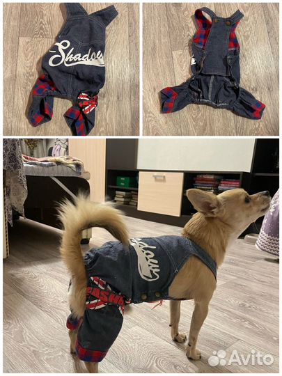 Одежда для маленькой собачки/кошки