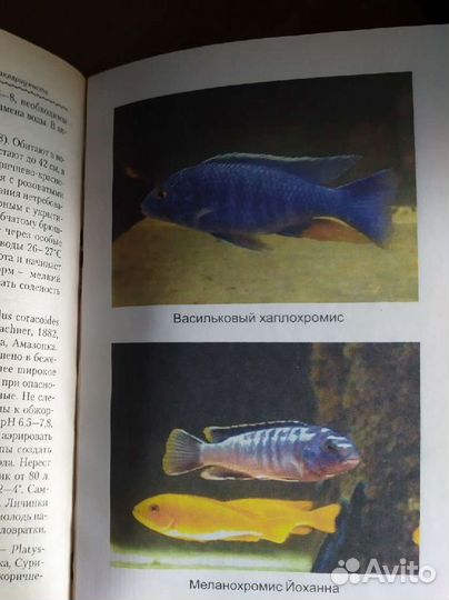 Энциклопедия аквариумиста