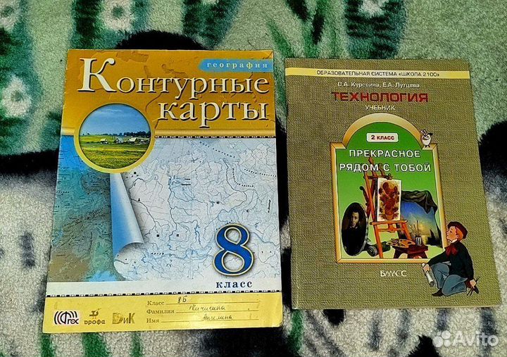 Книги для школьников
