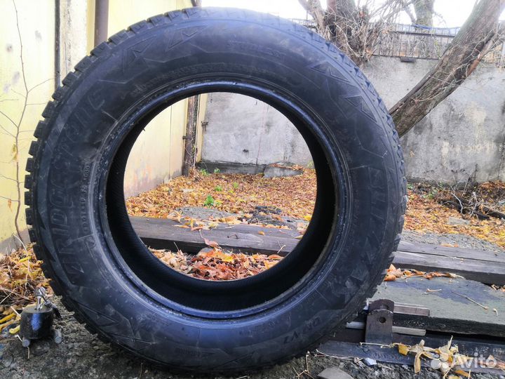 Bridgestone Blizzak DM-V2 225/65 R17