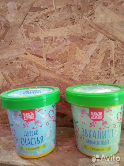 Бонсай дома