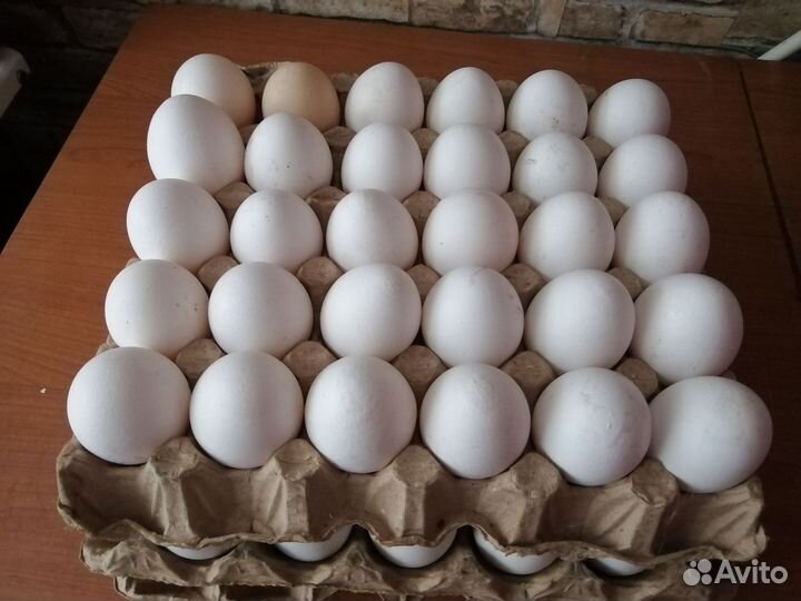 Деревенские белые куриные яйца