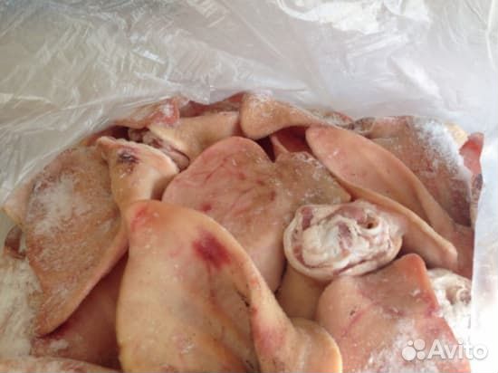 Уши свиные свежие