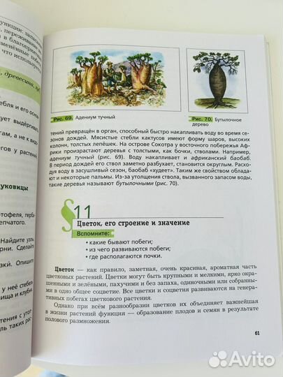 Учебник по биологии 6 класс пономарева