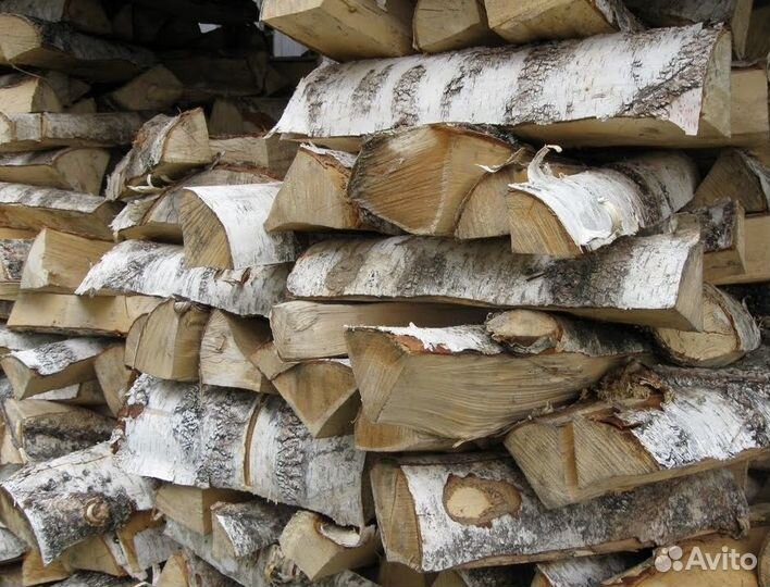 Дрова береза