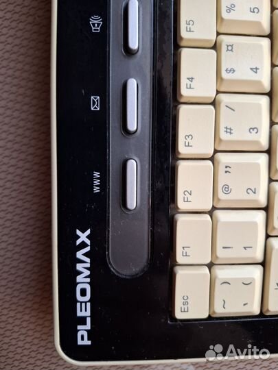 Samsung pleomax