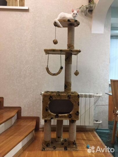 Домик для кошки с когтеточками. Новая