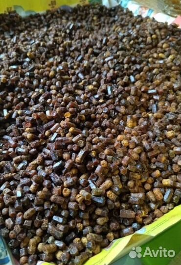 Гречишный, липовый мёд, перга 2023