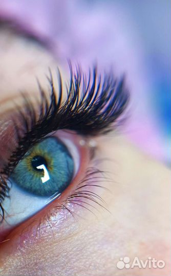 Обучение курсы Бровист, наращивание ресниц