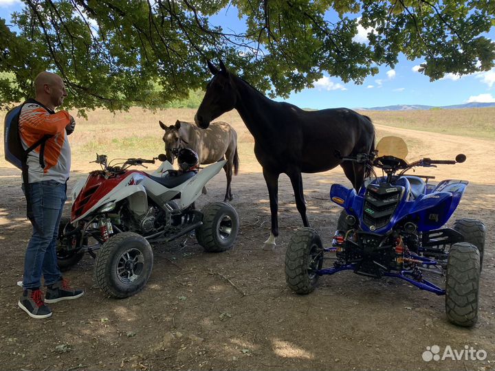 Yamaha raptor 850cc swap