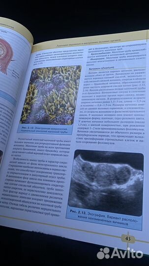 Книга/учебник по гинекологии