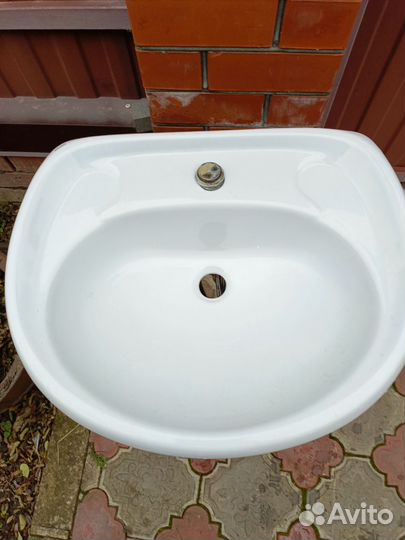 Раковина тюльпан и другие