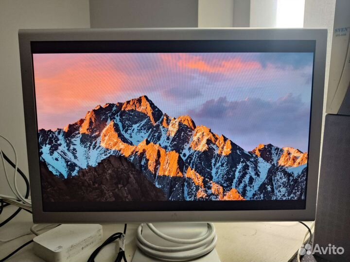 Apple Cinema Display 20