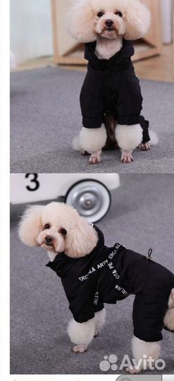 Новый комбинезон s