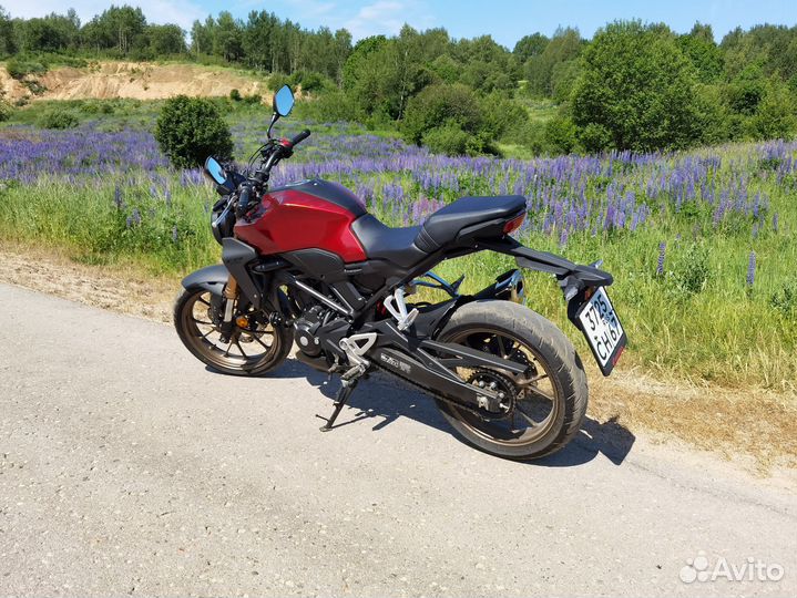 Honda CB300R