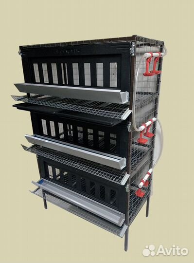 Клетки для цыплят кур и перепелов