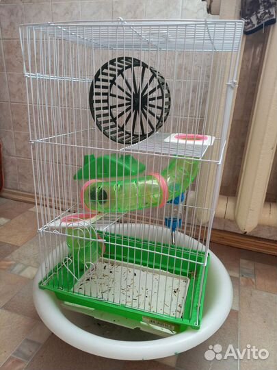 Хомяки вместе с клеткой