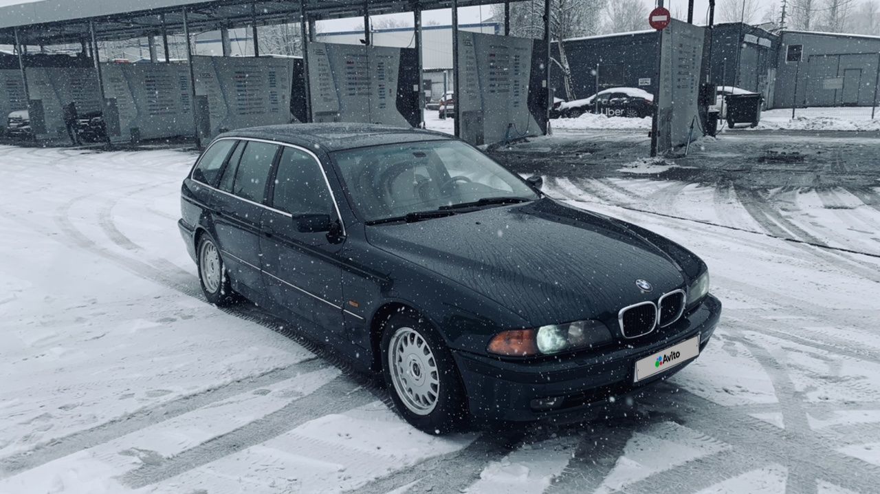 BMW 5 серия: фото владельца