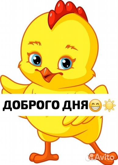 Бройлер, утка, индейка, гуси