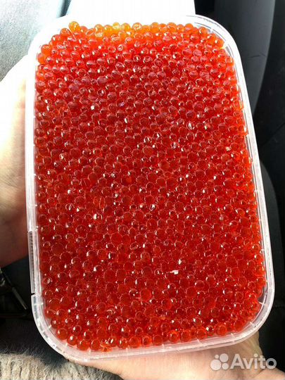 Красная икра 2023