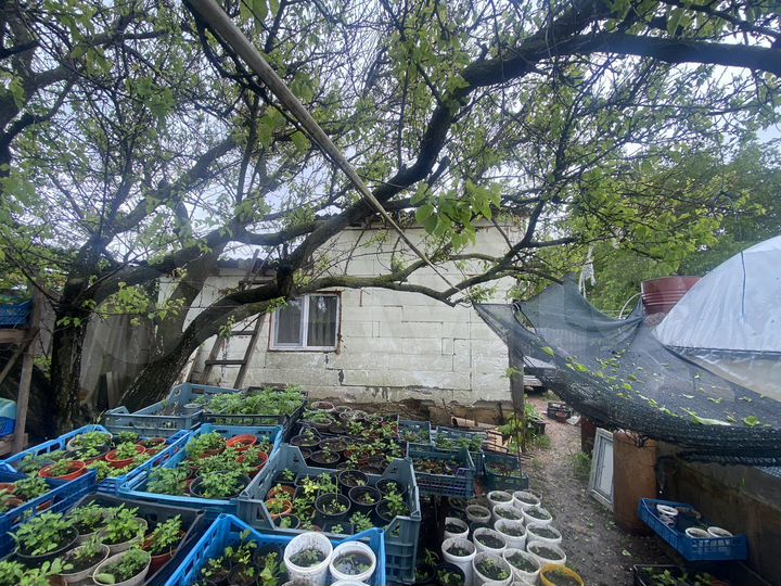 Дача 35 м² на участке 5 сот.