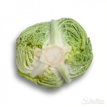 Семена Капусты 