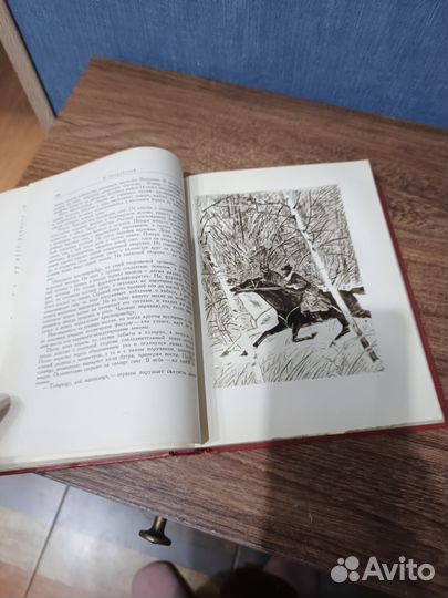 Островский, Как закалялась сталь,Рожд. бурей 1948