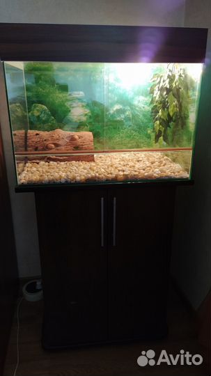 Террариум для рептилий (с тумбой)