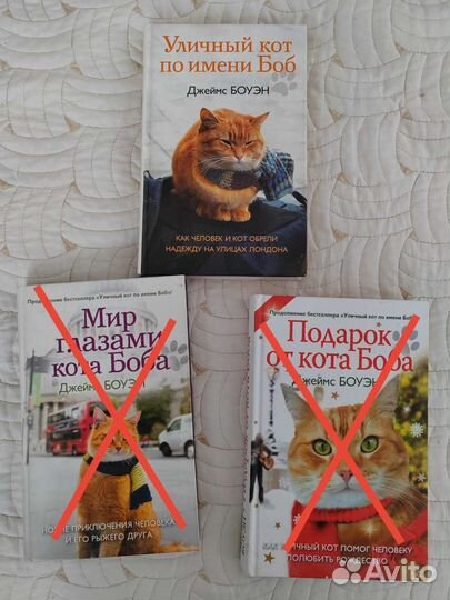 Уличный кот по имени Боб