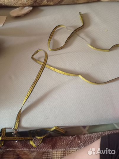 Ошейник для кошек