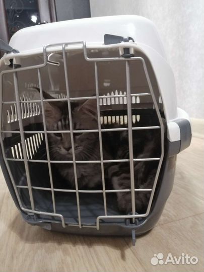 Переноска для животных