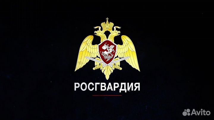 Полицейский (водитель)