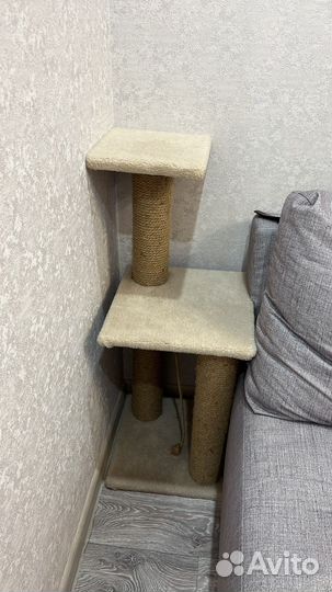Когтеточка