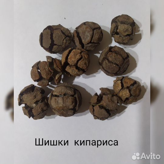 Набор природных материалов