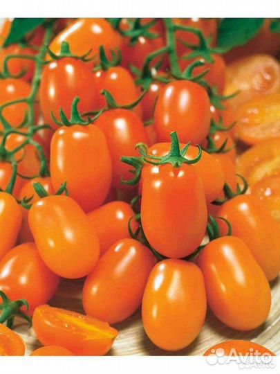 Семена томата Одат F1