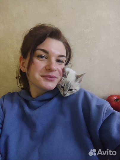 Передержка для кошек