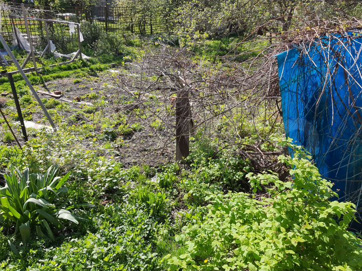 Дом 58 м² на участке 5,5 сот.