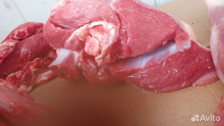 Мясо говядина