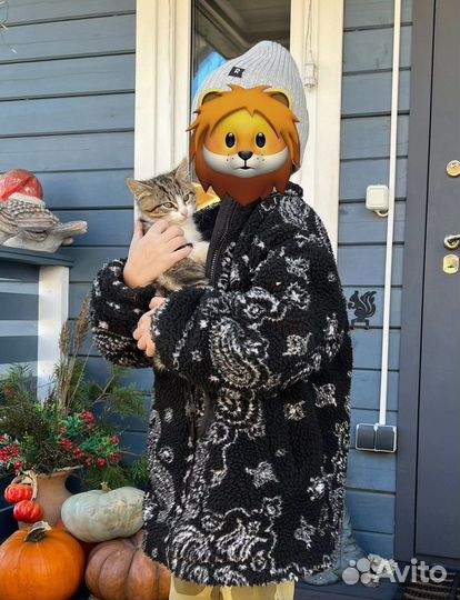 Котенок девочка в добрые руки