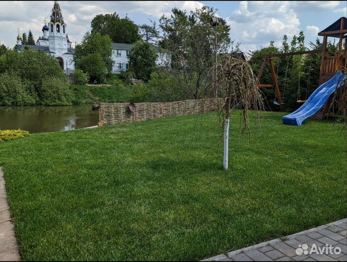 Рулонный газон доставка укладка Элитный